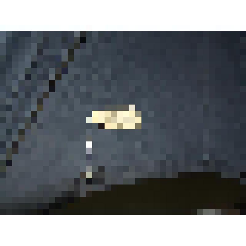 Зонт темно-синий мужской