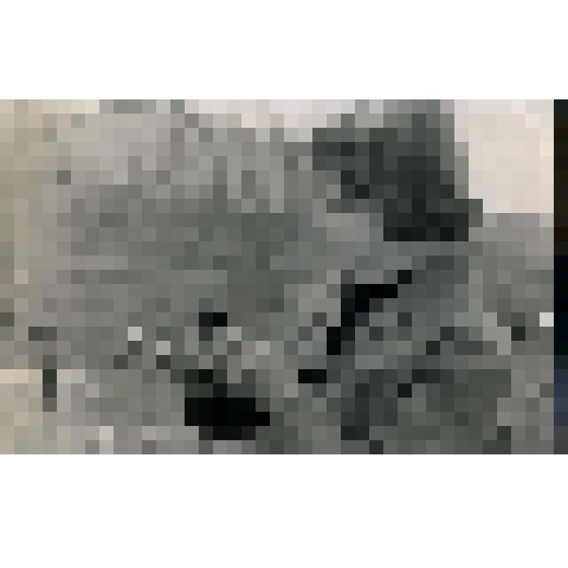 Фотография. Э.П. Андерсон