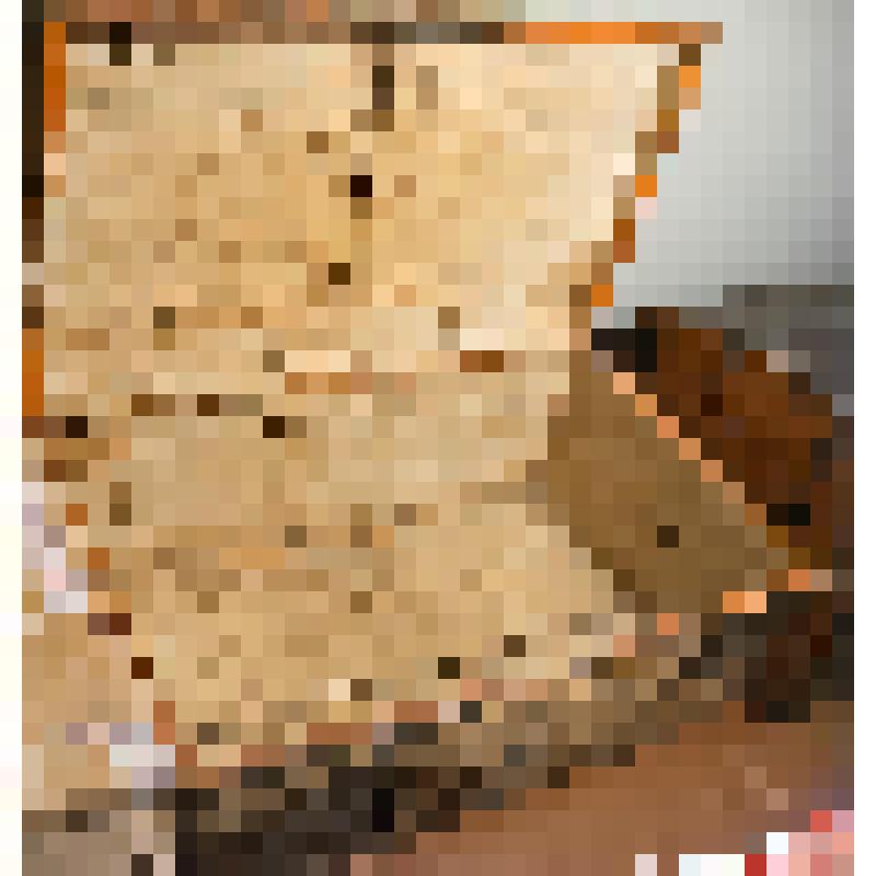 Сундук деревянный