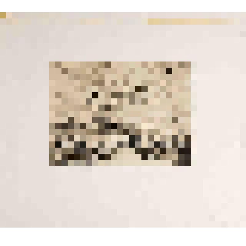 Кандалакшский заповедник. На берегу. Гравюра