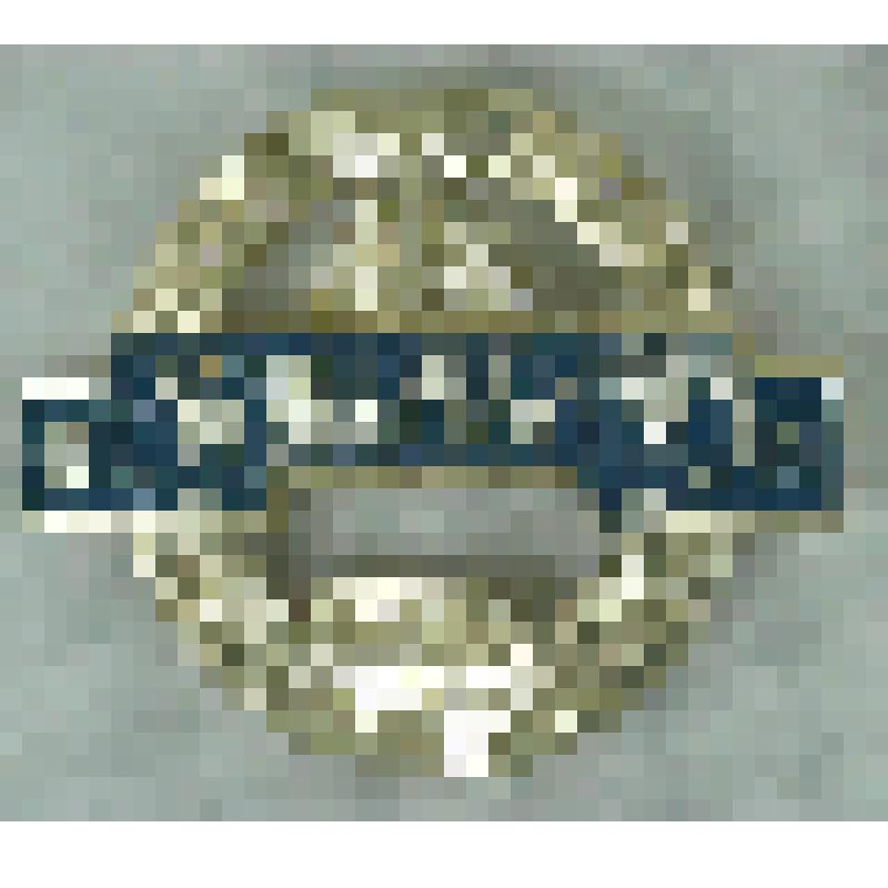 Значок "Fur hohe leistungen zu ehren der DDR. 1969 ". (Комсомол и пионерия ГДР. 1969)