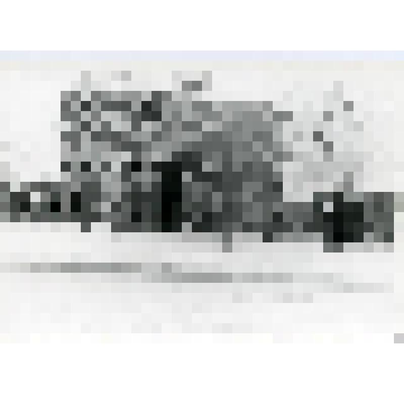Фотография. Дом № 170 на улице Красноармейской с восточной стороны на участке между улицами Советской и Красногеройской. Будет снесен в январе 1976 г