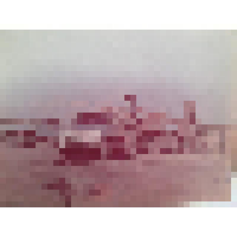 Фотография цветная сюжетная. Погрузка зерна на току совхоза «Украинский» села Нововознесенка