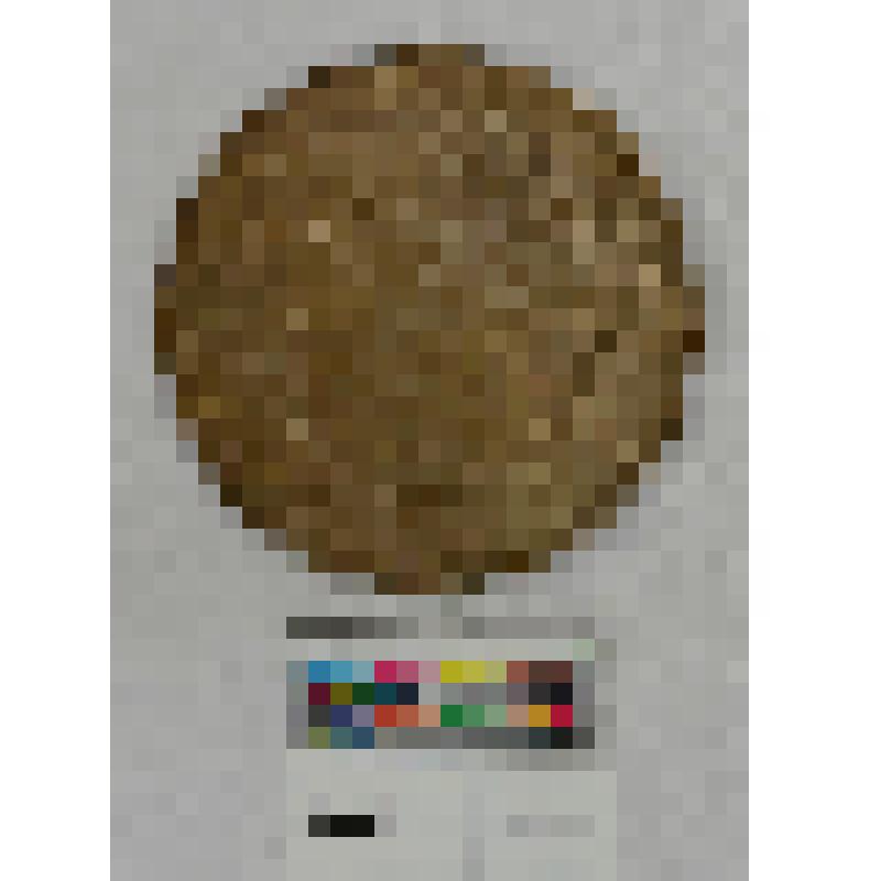 СССР. Медаль. Конгресс по иранскому искусству. 1935 г