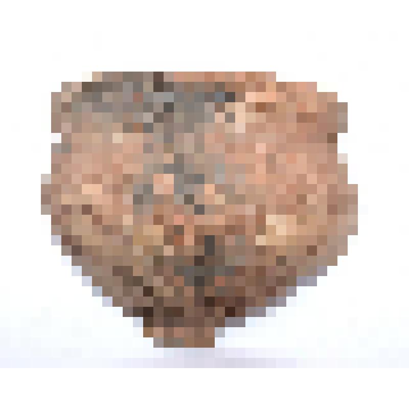 Сосуд (фрагмент)