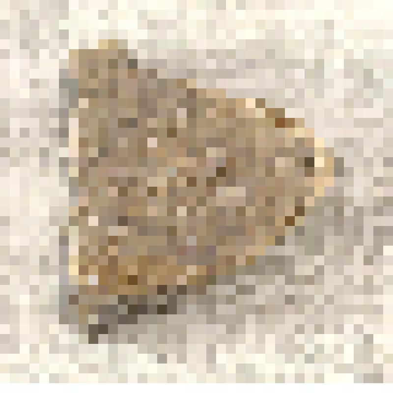 Фрагмент керамики