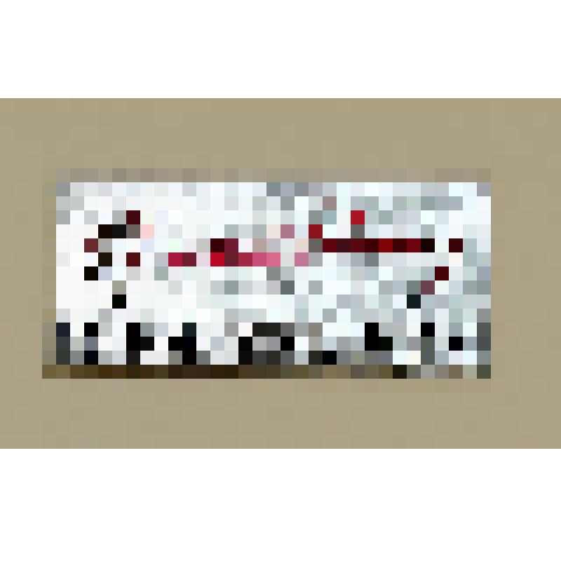 Значок к 100-летию со дня рождения В.И. Ленина