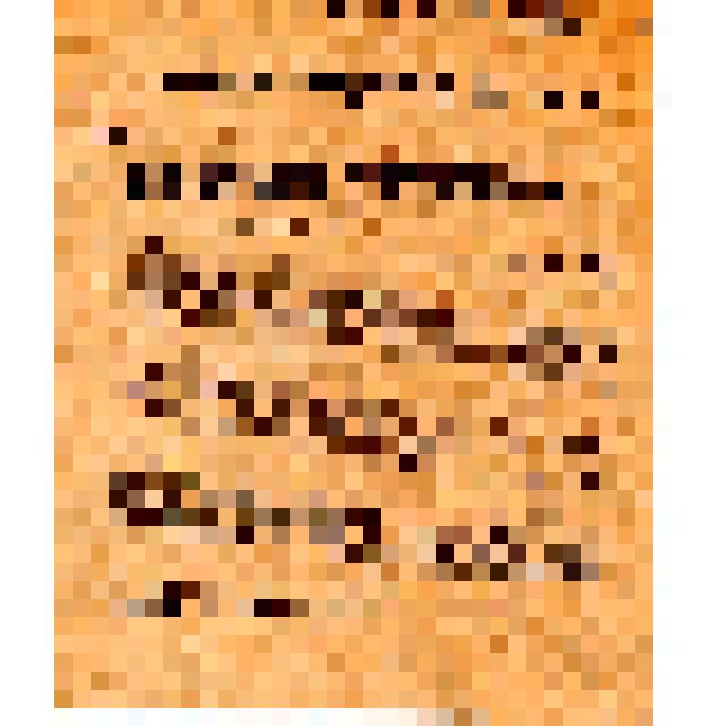 Российская коммунистическая партия. Центральный комитет коммунистической партии Литвы и Белоруссии. Коммунистов расстреливают: Товарищи!