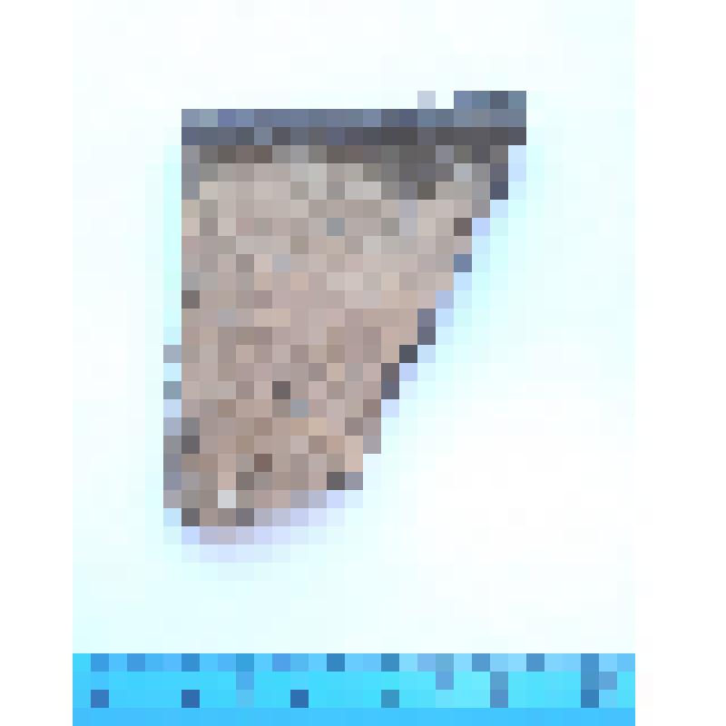 Лепная керамика (фрагмент). Селище IV Бальга