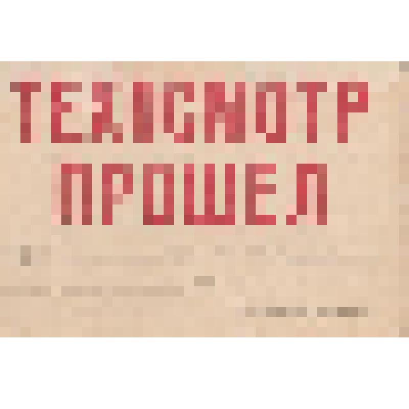 Талон на прохождении техосмотра транспортного средства Тиханова Сергея Григорьевича