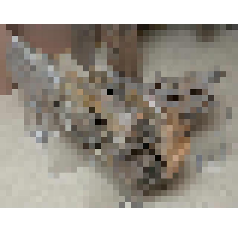 Сруб (угол связи деревянной конструкции)