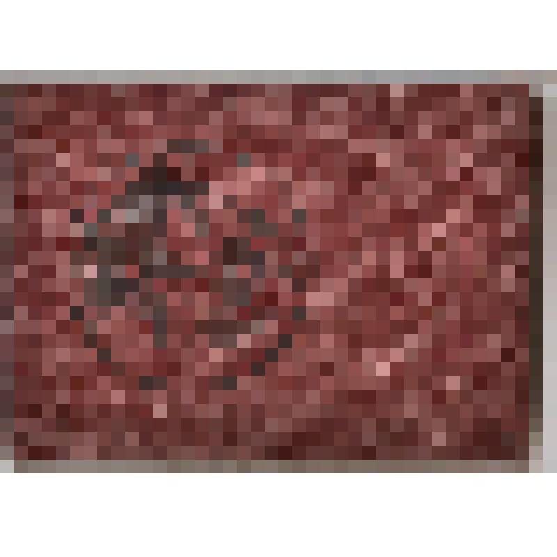 Книжка стрелковая № 91888 красноармейца Карпова М.А. "Ворошиловский стрелок". 79-й Западный железно-дорожный Полк ВО НКВД СССР