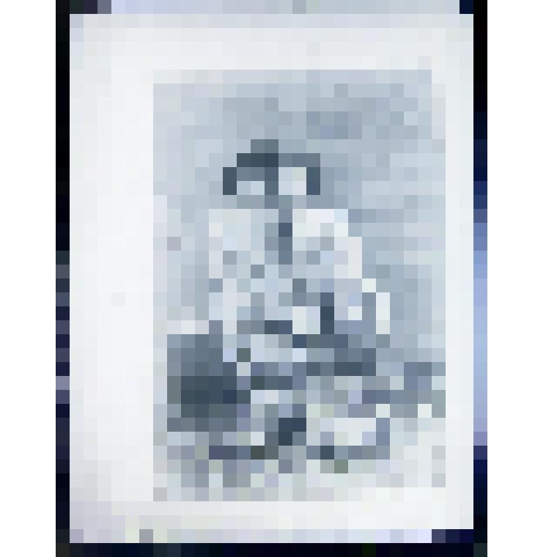 Негатив. Дети пермяки. Репродукция фотоснимка кон. XIX в