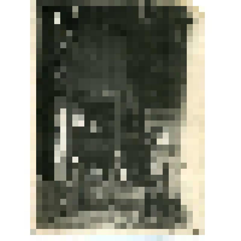 Фотография. Монтаж печи №1 в конце 1932 года