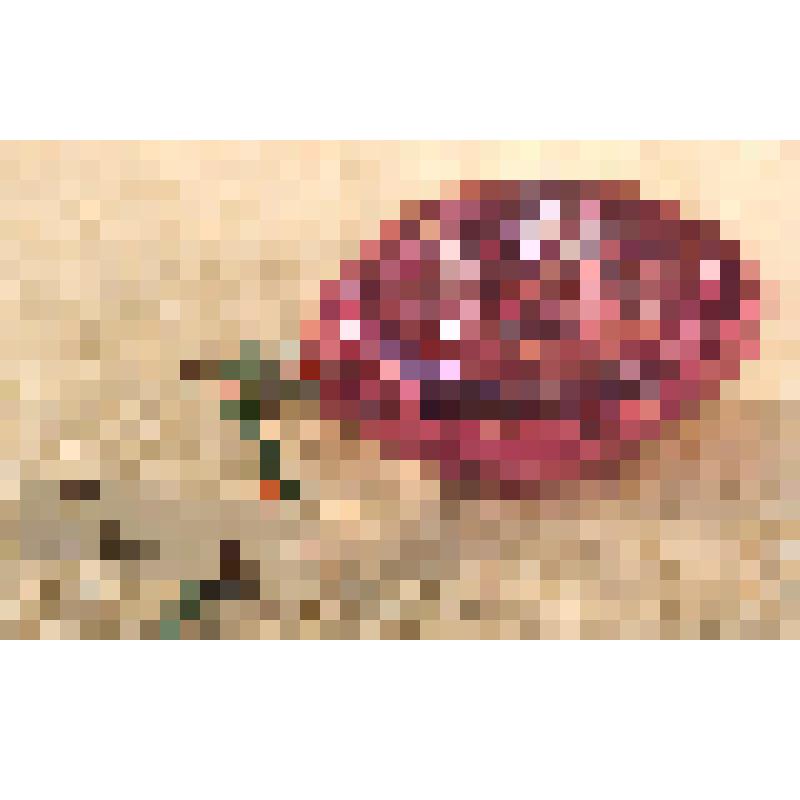 Игрушка елочная «Фонарик», из коллекции елочных игрушек и украшений