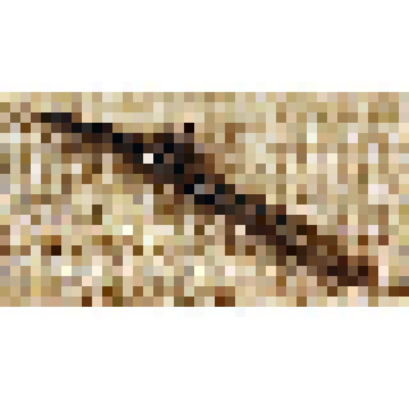 Насадка - рейсфедер-кривоножка Давыдова Л.Н. из коллекции материалов Давыдова Леонида Николаевича, старшего инженера Саратовского областного радиотелевизионного передающего центра, и его жены Давыдовой Натальи Андреевны, старшего инженера передвижной теле