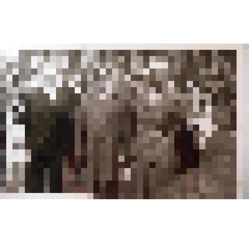 Фотография групповая. Учителя Севской средней школы № 2 имени академика Петровского И.Г.: (слева направо) Пшенев В.А. – учитель истории, Косенков Л.И. – директор школы, учитель математики, Баусов В.И. – учитель истории