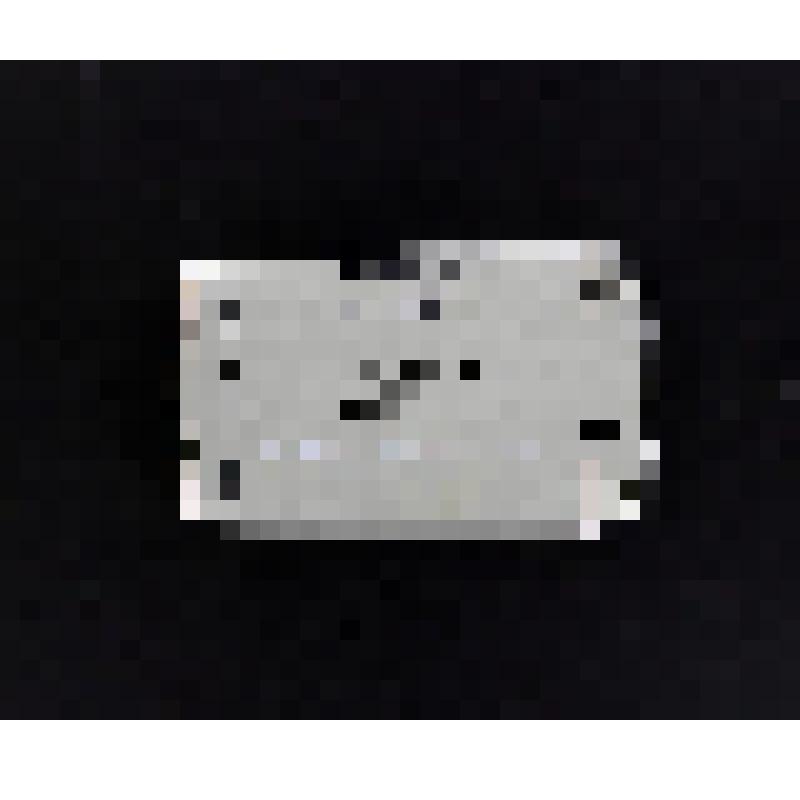 Компьютер карманный Гужвина А.П