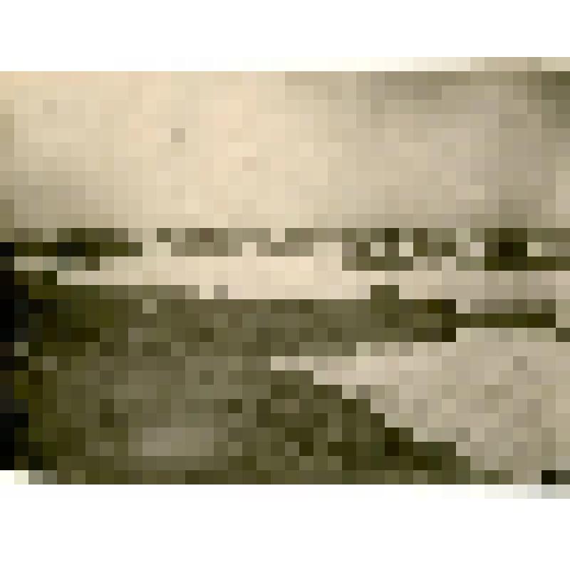 Фотография. Общий вид на оленеводческий совхоз в Кюсюре от берегов Лены