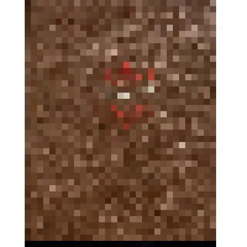 Кемине (Kemine; наст. имя Мамедвели; Mämmetweli ). Собрание песен и стихов /в переводе Арсения Тарковского с добавлением избранных народных рассказов о жизни прославленного поэта; под общей редакцией Петра Скосырева; [худож. А. Репников].- Москва. Государ