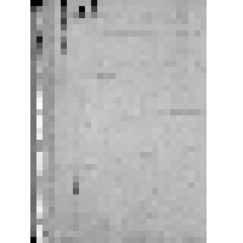 КОПИЯ ПИСЬМА