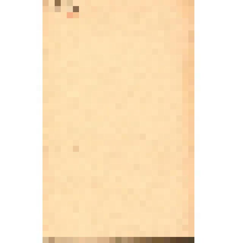 Брошюра. Постановление ЦК КПСС от 4 января 1967 года. (О подготовке к 50-летию Великой Октябрьской Социалистической революции.)