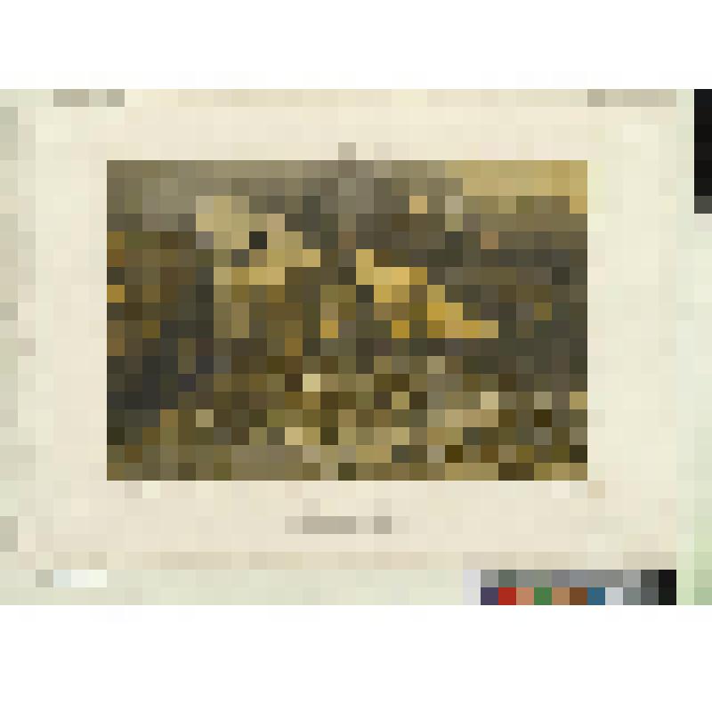 Сражение коммунаров с версальскими войсками на улице Риволи. Лист из сюиты "Paris et ses ruines"