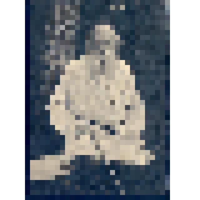 Открытка. Л.Н. Толстой 1910 г. С. Затишье