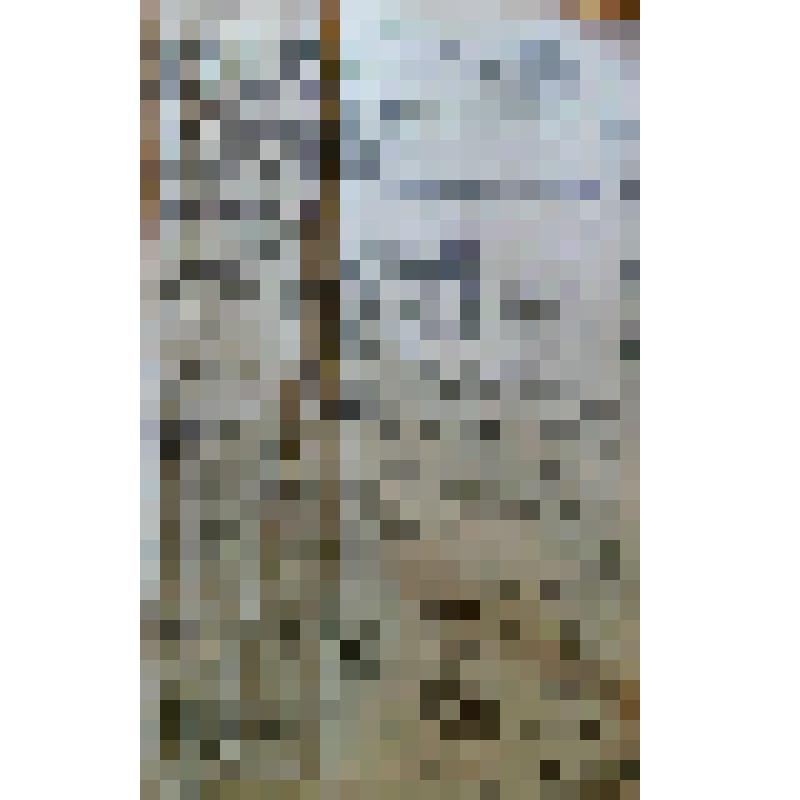 Газета "Прикамская жизнь" за 1916 год. №9 за  13.01.1916 г