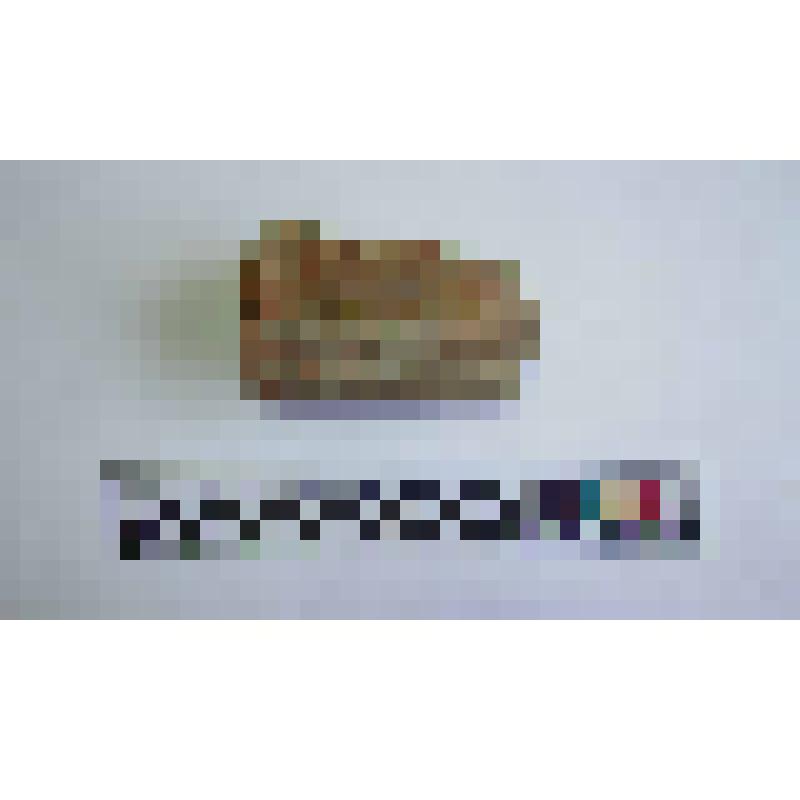 Ручка амфоры типа Зеест 80