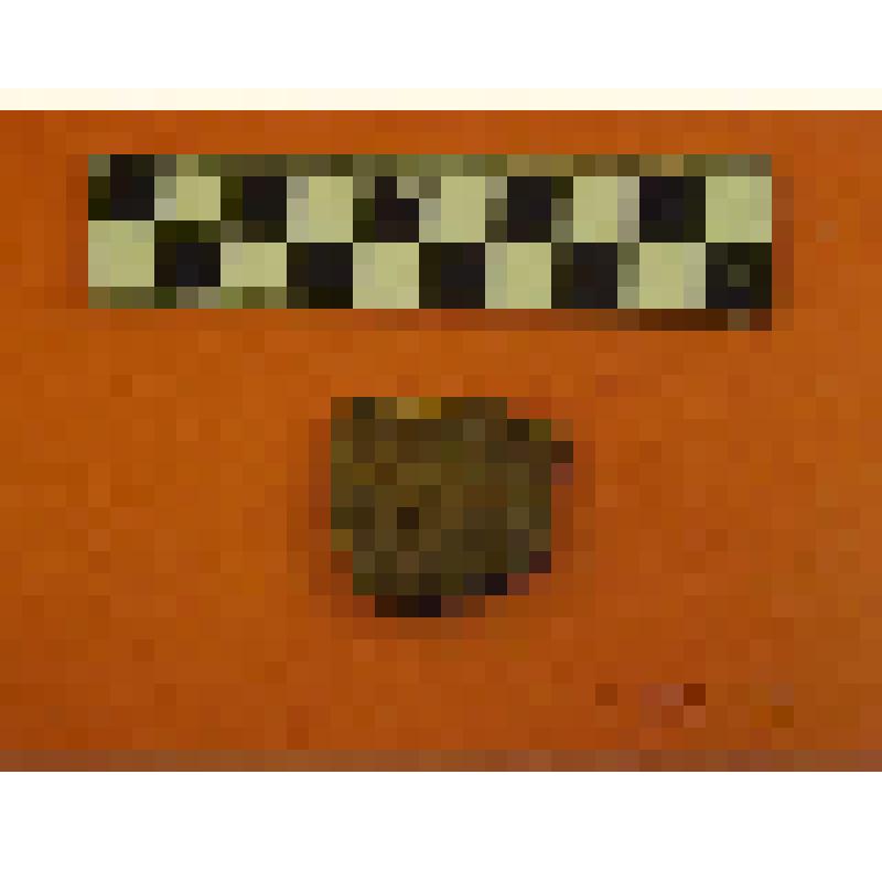 фрагмент керамики с вафельными отпечатками