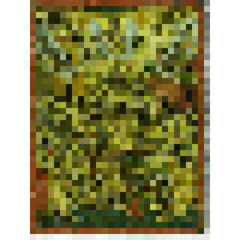 Успение Богоматери. Икона