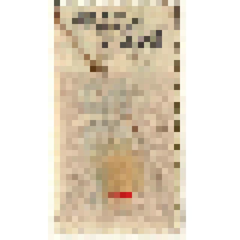 Марки почтовые. Марка почтовая. 20 рублей. (коричневый). "Гербовая марка" с изображением короны Российской империи