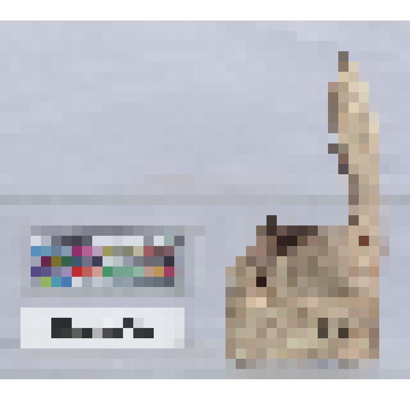 Фрагмент нижней части статуэтки воина со щитом