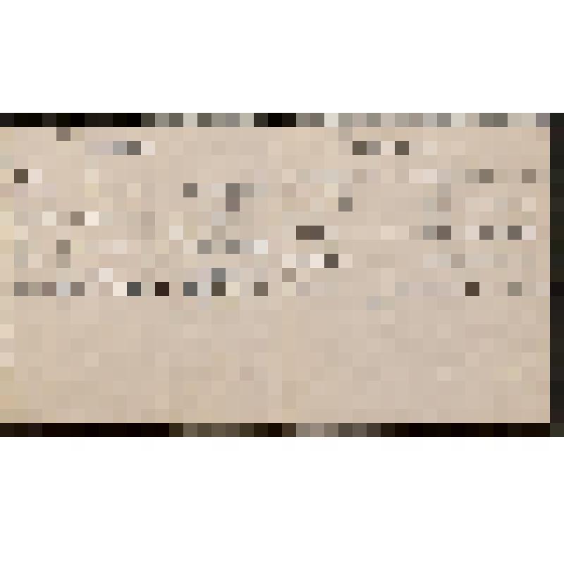 Рукопись. Программа Концерта учеников школы-десятилетки (фортепианной) класса профессора Николаева Ленинградской Государственной Консерватории