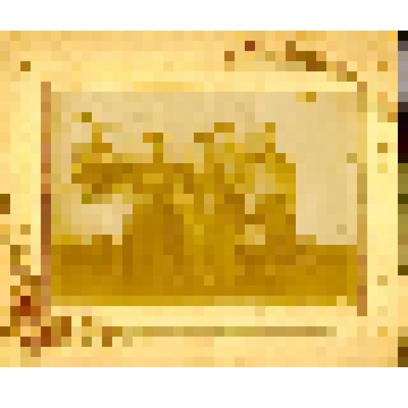 Фотография. Мария Степановна Лагун (Чапина) с семьей