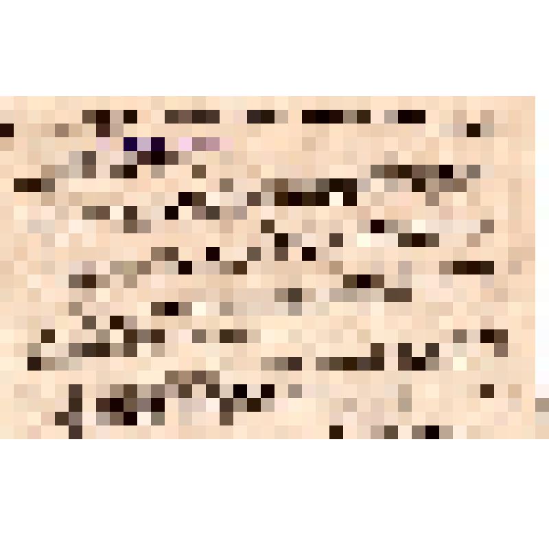 Российская коммунистическая партия (большевиков). Московский комитет РКП. Рабочие и работницы! Красноармейцы! Все трудящиеся!