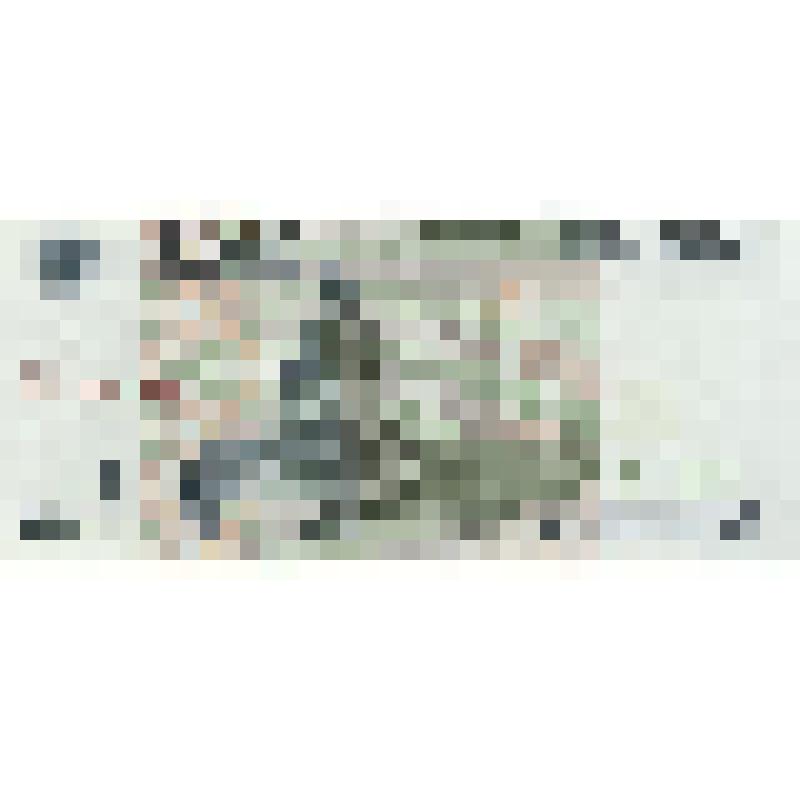 Билет Банка России 5000 рублей. Россия (Дата изъятия 1 января 1999 г.)