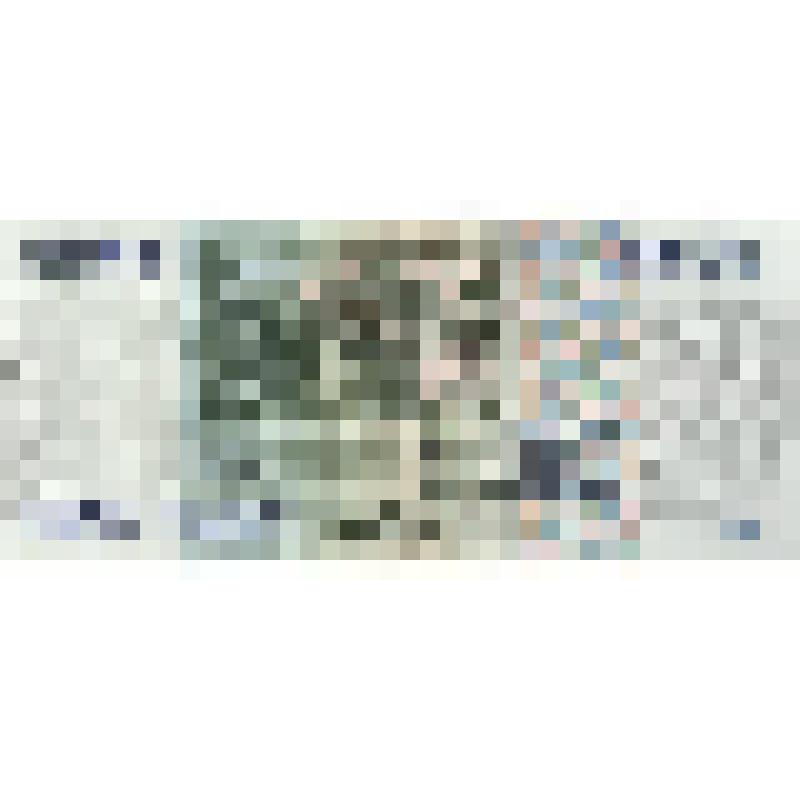 Билет Банка России 5000 рублей. Россия (Дата изъятия 1 января 1999 г.)