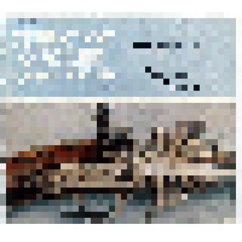 Каталог. Тульское оружие XVIII-XX вв. / авт.- сост. М.Э. Портнов, Е.А. Яблонская. - М.: Тип. Мин. культуры СССР., 1980. - 40 с.: ил. - (Из собрания Гос. музеев Московского Кремля)