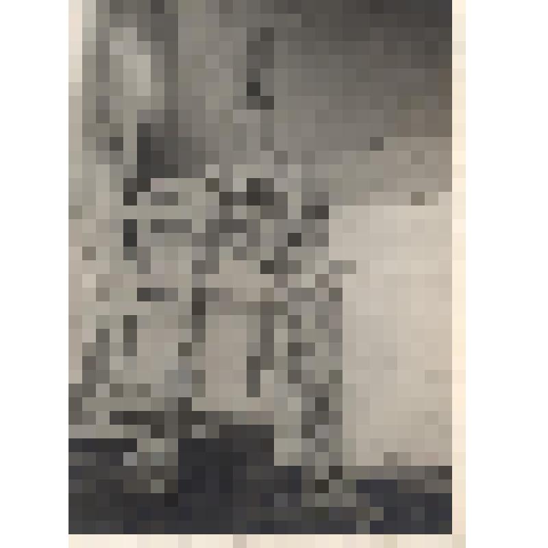 Фотография экспедиции в Мордовию (мордовская крестьянка у скирд с коноплей)