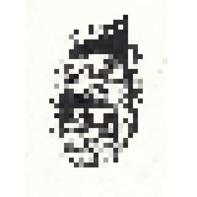Экслибрис "Ex Libris Jiri Soukup"