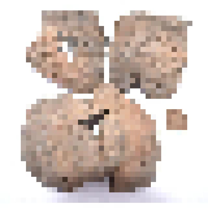 Сосуд (фрагмент)