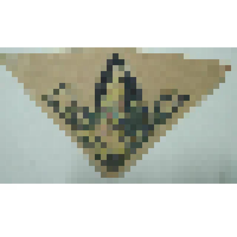 Орнамент. Проект вышивки шали. Рисунок