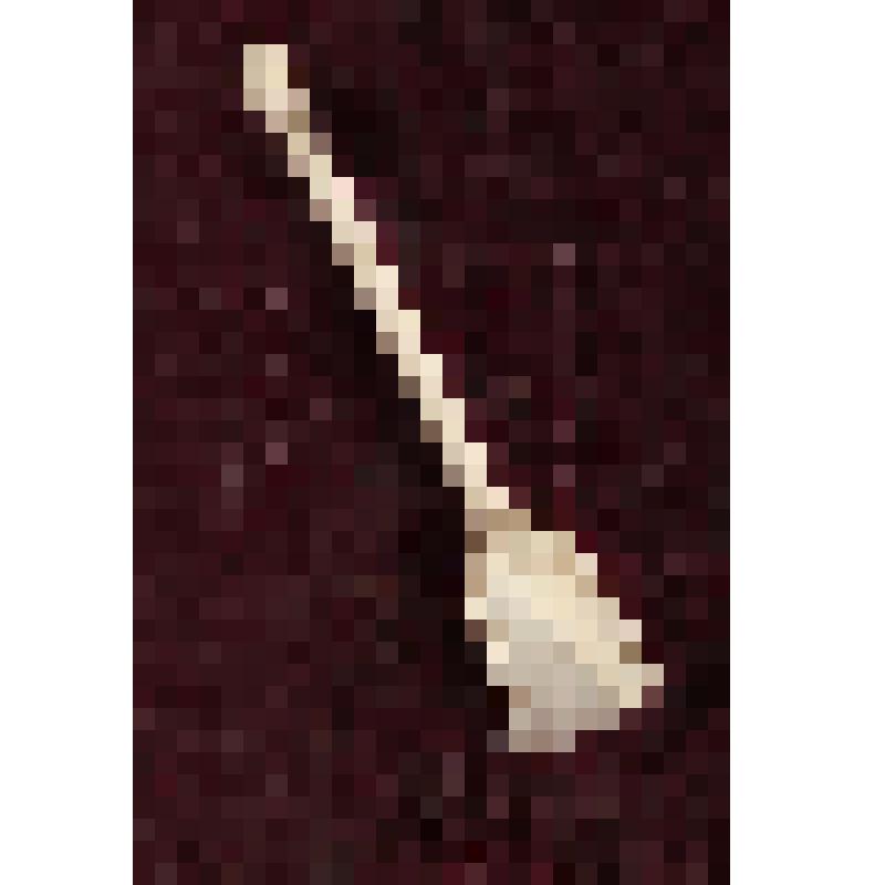 Коробка с костяными бирюльками: совок