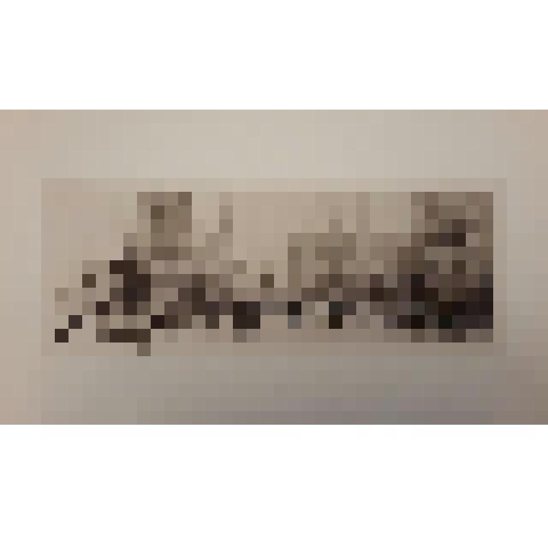 Венецианский фестиваль. Пьяцетта. Malcolm C. Salamon, London