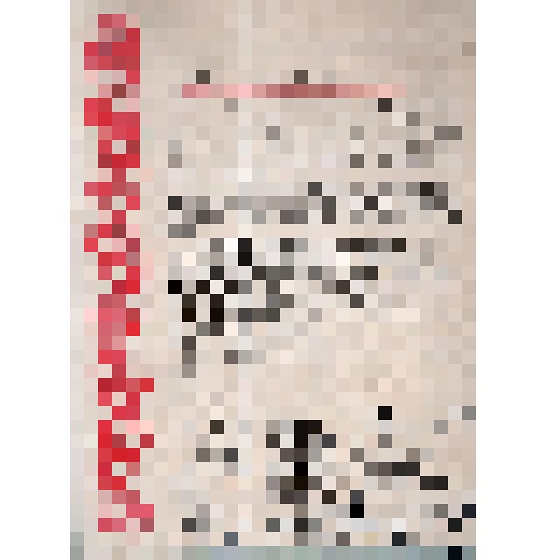 Адрес начальнику штаба ВГС частей НКУП И.С. Пугач в день его награждения орденом Ленина