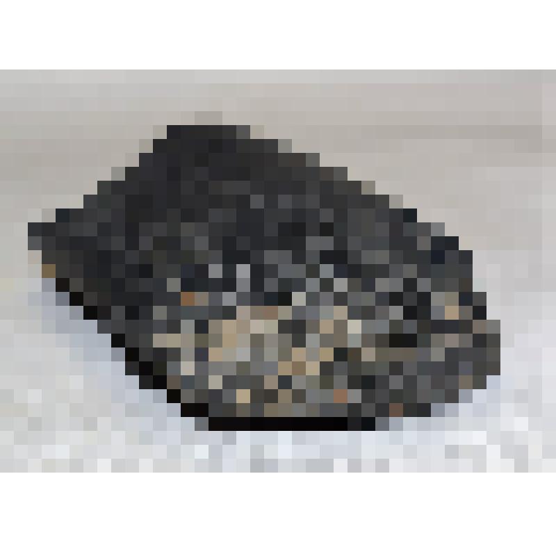 Фрагмент шлифованного тесловидного орудия среднего размерного ранга из темно-серого камня