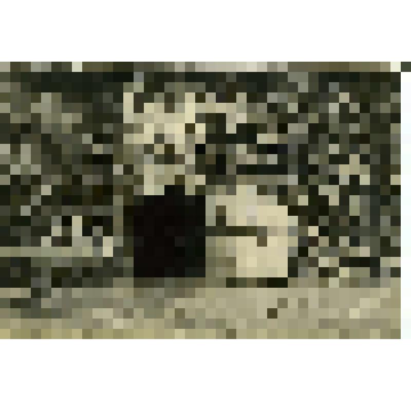 Фотооткрытка сувенирная. Пятигорск. Провал (с кассой). 1930-е годы