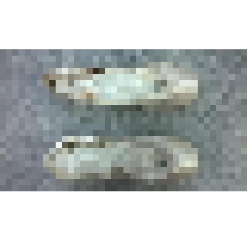 Пуанты   Александровой М.Ю. Белые